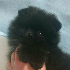 CUNPIC_20160210_150702